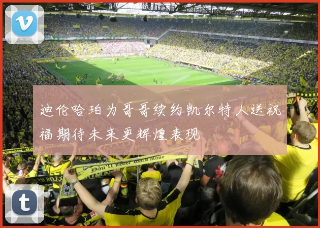 迪伦哈珀为哥哥续约凯尔特人送祝福期待未来更辉煌表现